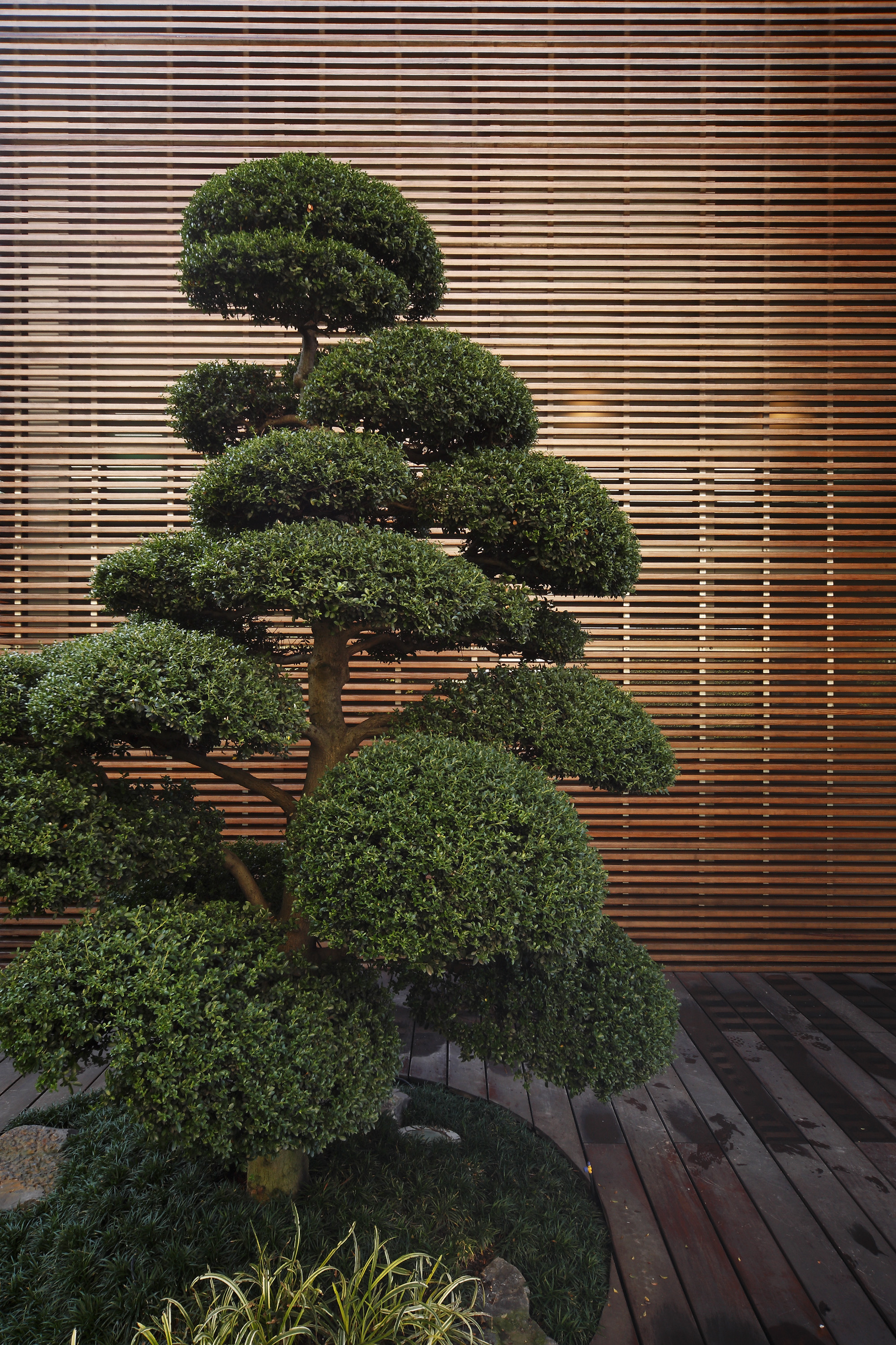 Facciata-in-legno-monza