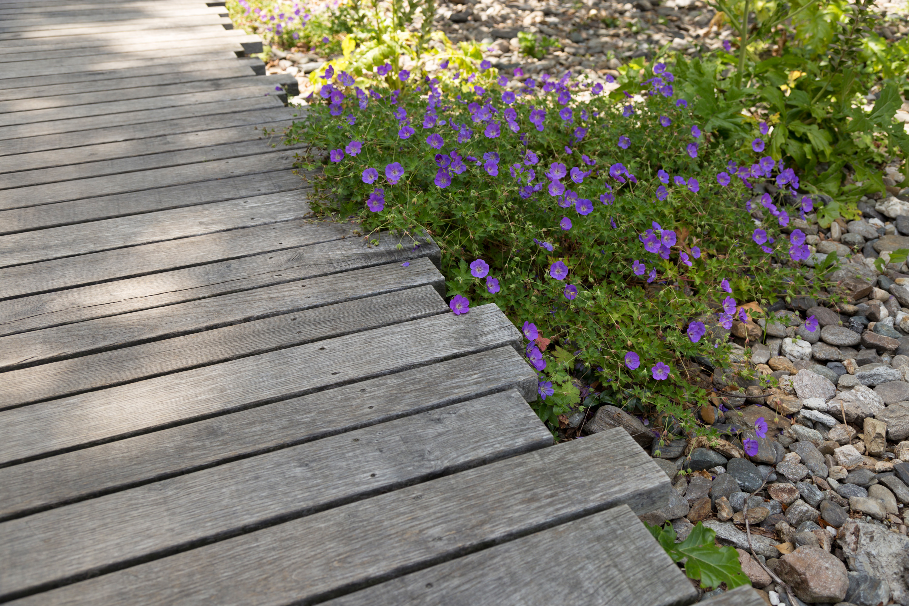 Passerella-in-legno-parco-Lugano