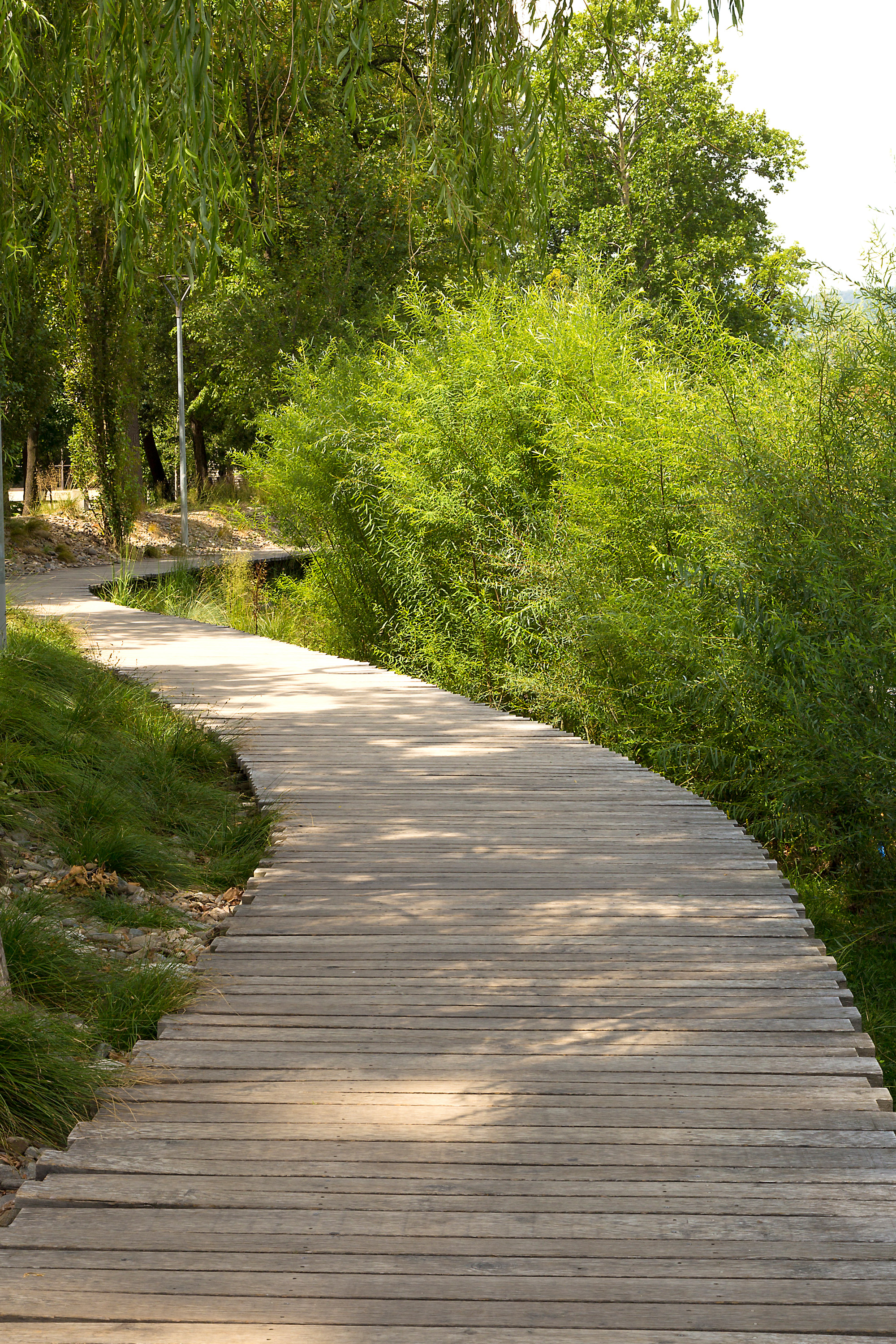 Passerella-in-legno-parco-Lugano