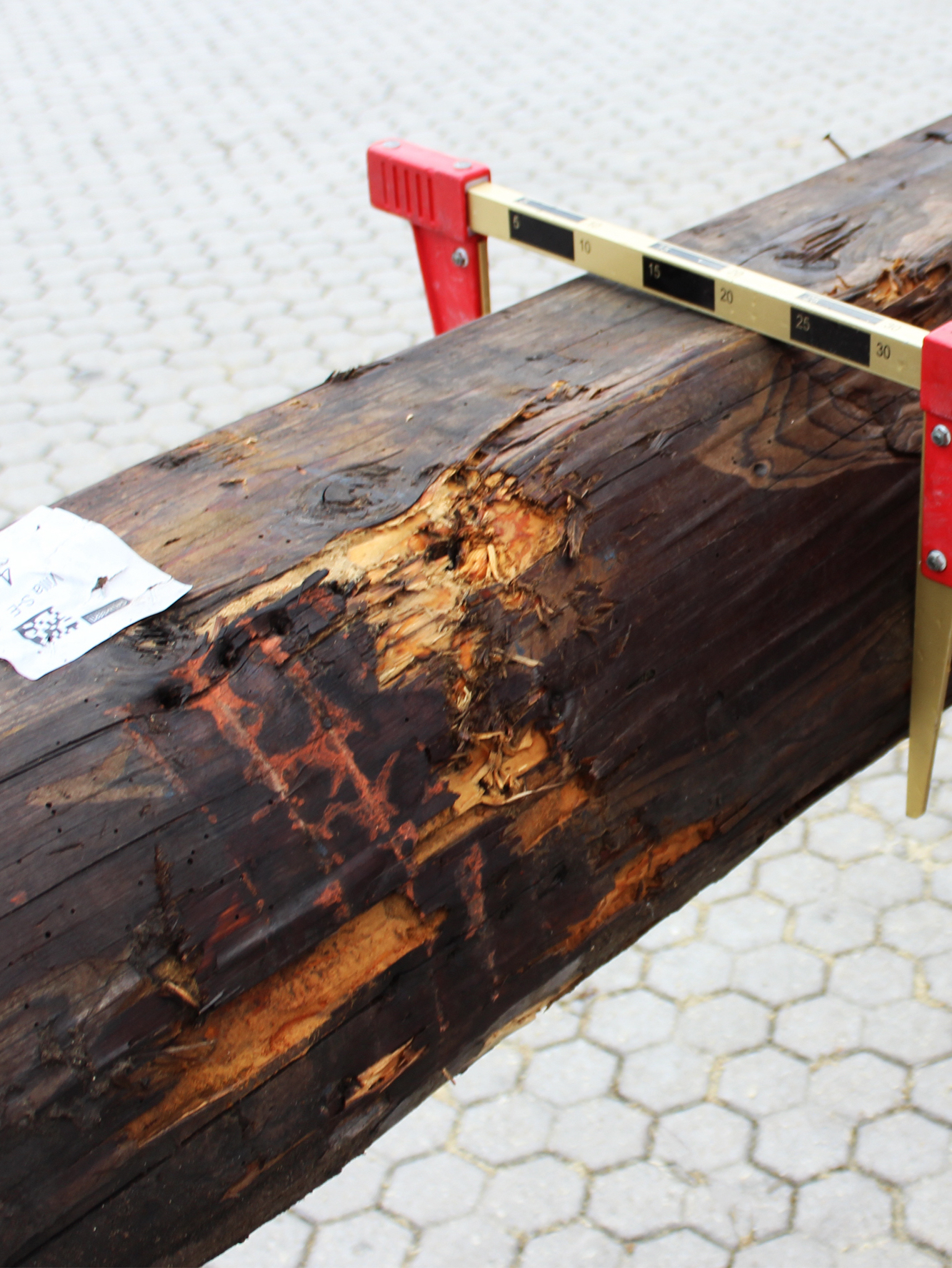 Collaudo-travi-In_legno-antiche-milano