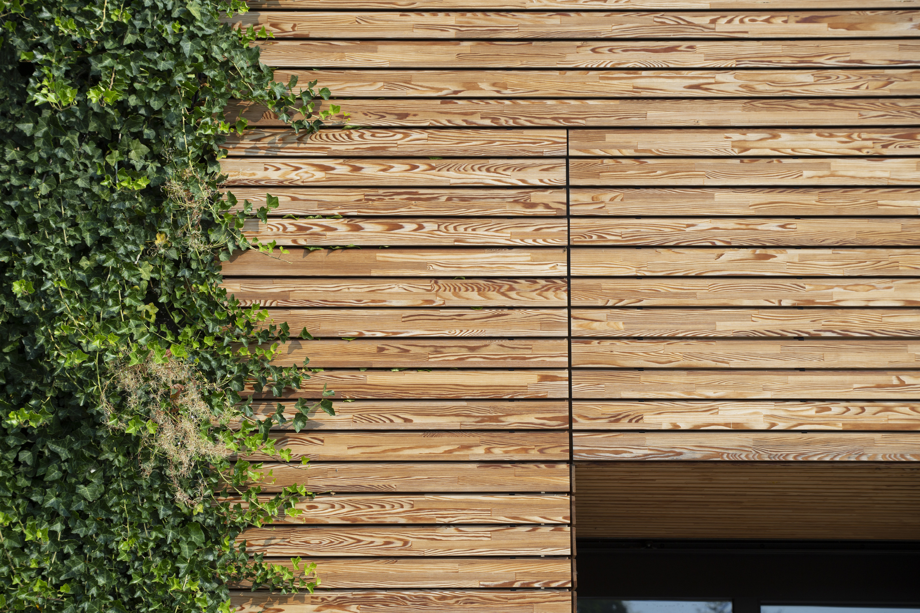 Facciata-in-legno-verde-verticale-Inveruno