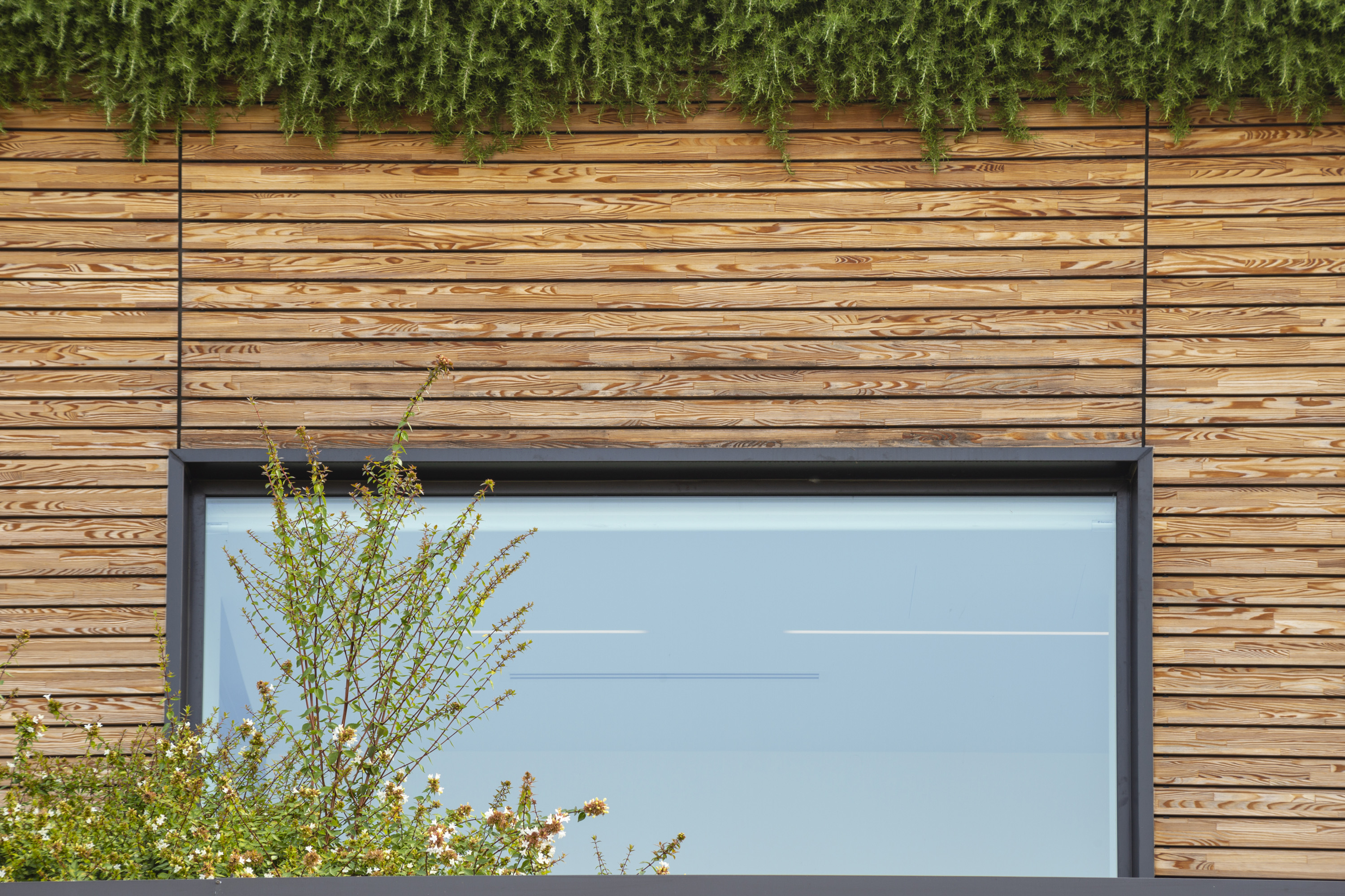 Facciata-in-legno-verde-verticale-Inveruno