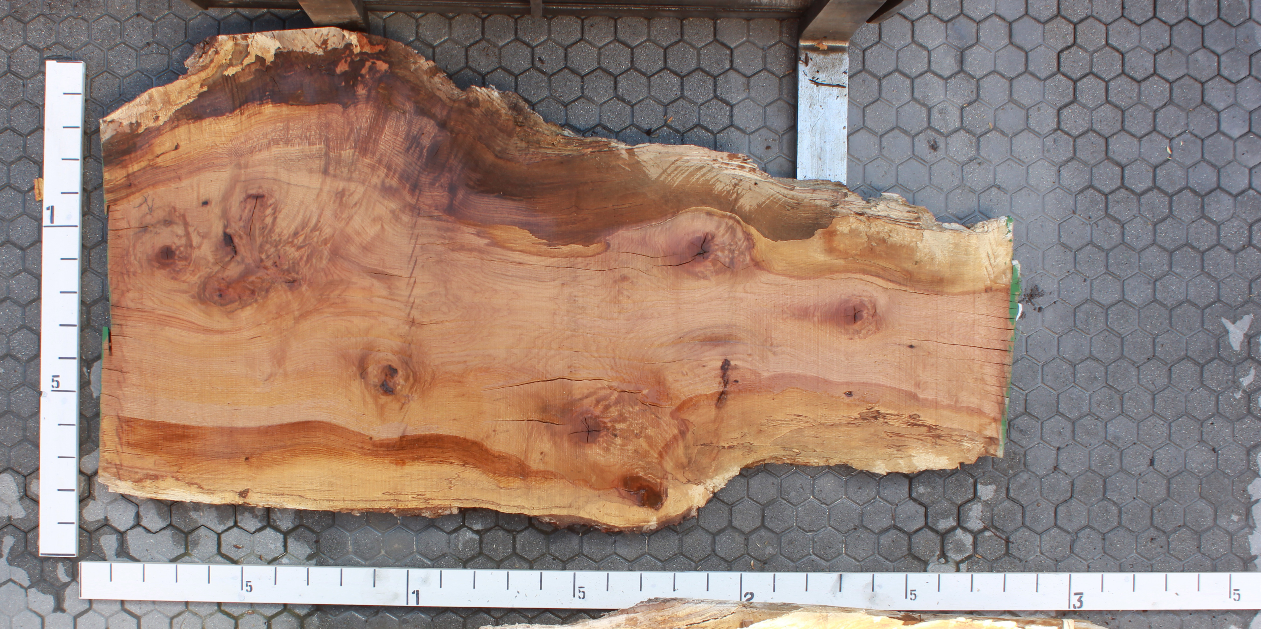 Tavola-in-legno-grezza