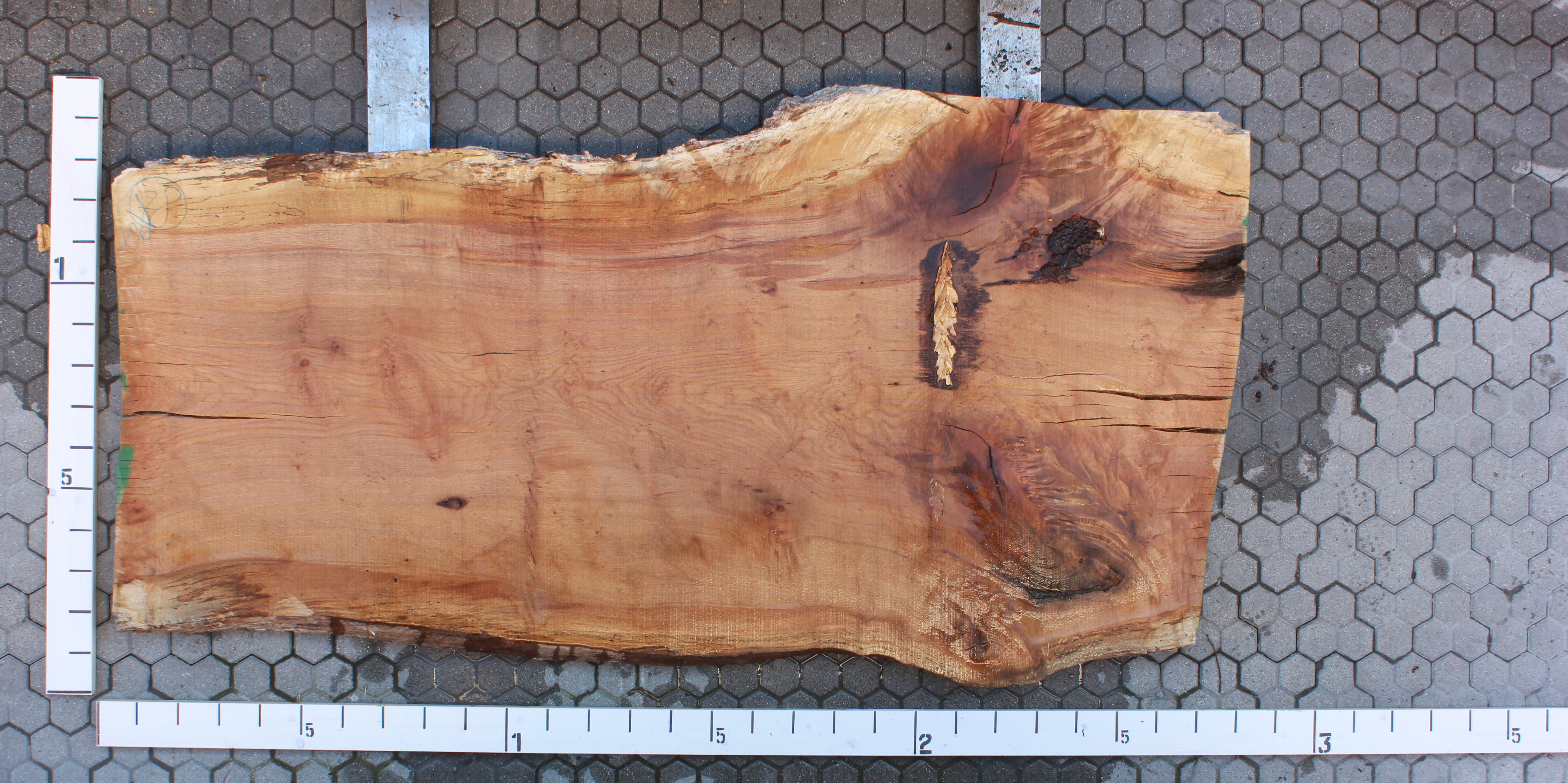 Tavola-in-legno-grezza